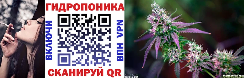 Бошки марихуана Amnesia  продажа наркотиков  Шиханы 